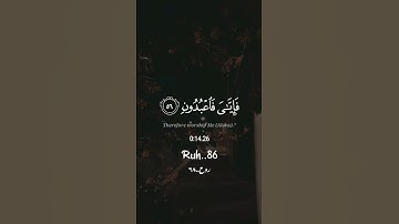 سورة العنكبوت 🍁الآية {56+57} بصوت القارئ عبدالرحمن مسعد🎙️🤍