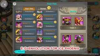 TRICKS ON FAST PET EVOLUTION!!-TAICHI PANDA (adventure online games rpg) screenshot 2