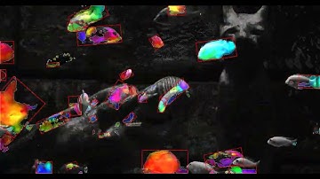 Dense optical flow with DualTV^1