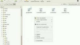 Abrir en terminal. Script para Nautilus