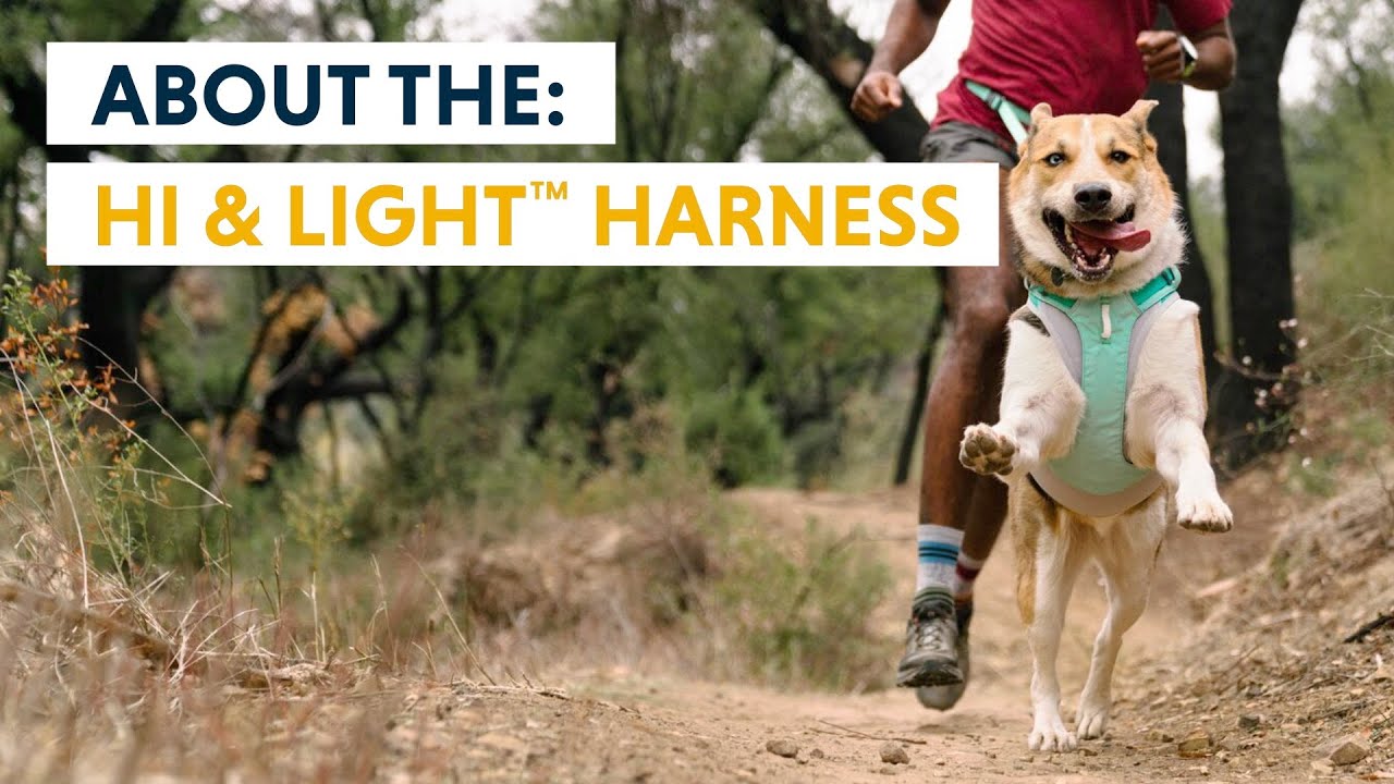 rolige Luftfart Korrespondance Hi & Light™ Lightweight Dog Harness | Ruffwear