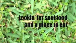 Lou Reed   Walk On The Wild Side (lyrics) chords