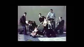Various - French Cuts : 60's Rare Garage Punk Beat Pop Psychedelic