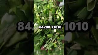 തീറ്റയായി ഉപയോഗിക്കുന്ന പുല്ല്/വെയിൽ മുറിക്കുന്ന യന്ത്രം Master Chaff Cutter