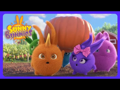 O mistério das bolas verdes! 🟢 - Sunny Bunnies | Desenhos Infantis | WildBrain Escola Infantil