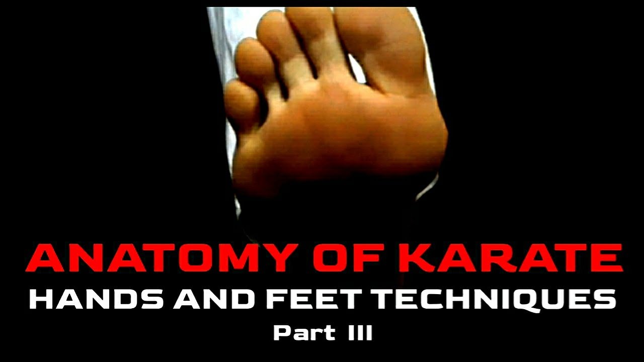 ANATOMY OF KARATE HANDS AND FEET TECHNIQUES part 3 KYOKUSHIN VLOG