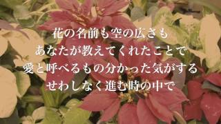 泣ける曲 Flower やさしさで溢れるように 感動ピアノバージョン 歌詞付き フル 高音質 映画 植物図鑑 運命の恋 ひろいました 主題歌 By 小寺健太 Cover Youtube