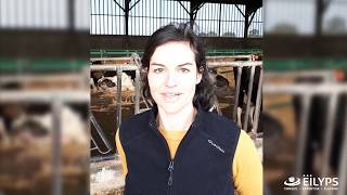 Eilyps - Formation Visiolys - Parage - Boiteries - Maitrise Dermatite Et Fourchet