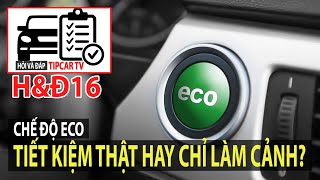 H&Đ16: Chế Độ Eco Tiết Kiệm Thật Hay Chỉ Làm Cảnh? Chuyển D3, D2, D1 Có Cần  Về N? | Tipcar Tv - Youtube