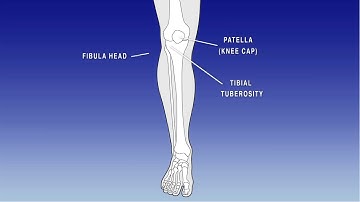 Firefly™ Sport Recovery Device Fitting Instructions