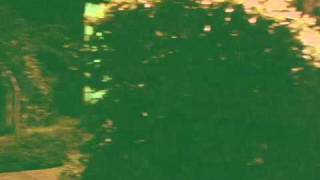 Black Moth Super Rainbow- Forever Heavy
