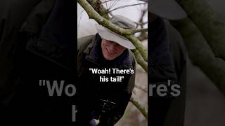 Releasing rare wild animals in the UK with "River Monsters" man Jeremy Wade @rivermonsters_official