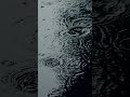 Relaxing Sound of Rain Puddles Light Rain and Rain Drops Falling