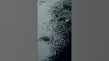 Thumbnail of Relaxing Sound of Rain Puddles Light Rain and Rain Drops Falling