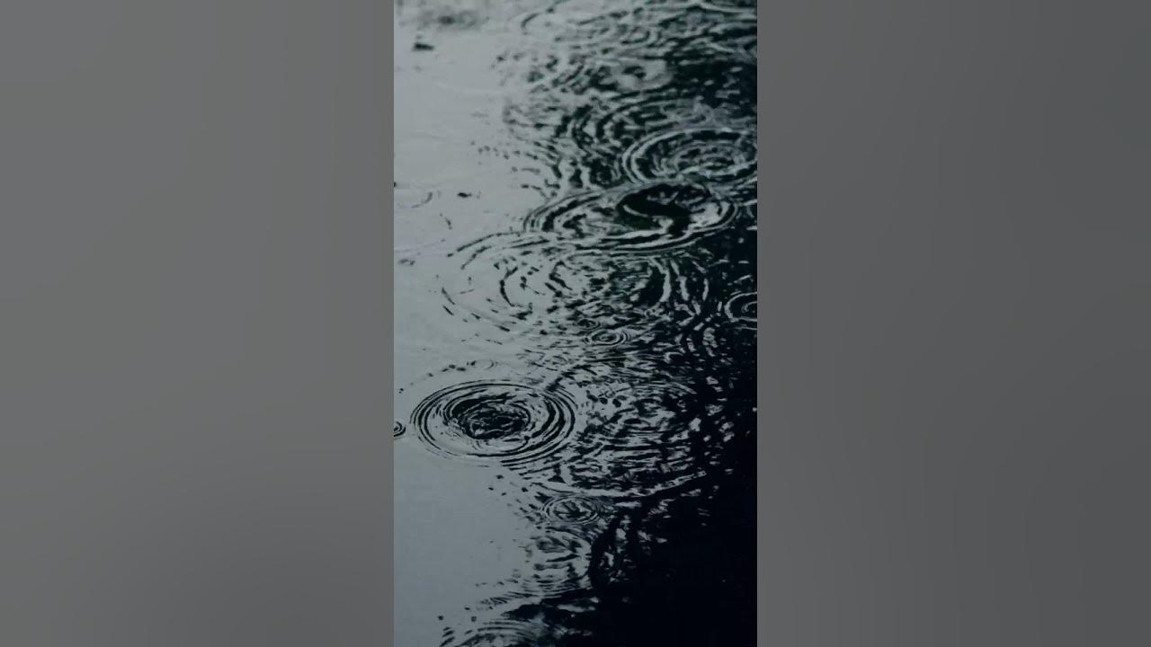 Relaxing Sound of Rain Puddles Light Rain and Rain Drops Falling