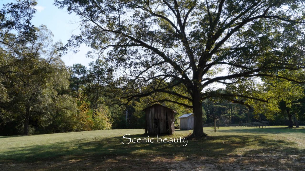 Treley Farm For Sale Franklin County Mississippi YouTube