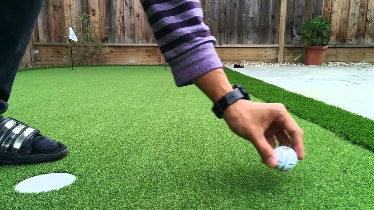Backyard Putting Green Right to left