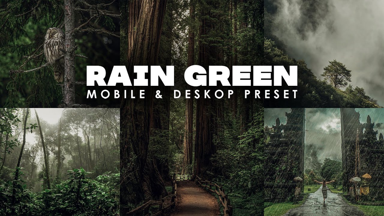 RAIN GREEN PRESET | Lightroom Mobile Presets | GREEN PRESET - FREE PRESETS