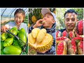 😍Farm Fresh Ninja Fruit | Tik Tok China | (Oddly Satisfying Fruit Ninja) #141