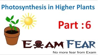 screenshot of the youtube video