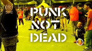 MASBERTO - PUNK NOT DEAD