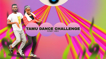 Robby Vibe - Tamu (Official Dance Challenge Video)