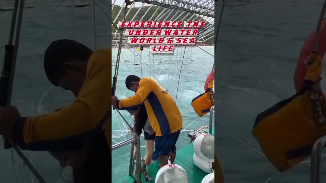 Amazing Sea Walk Experience in Pattaya 