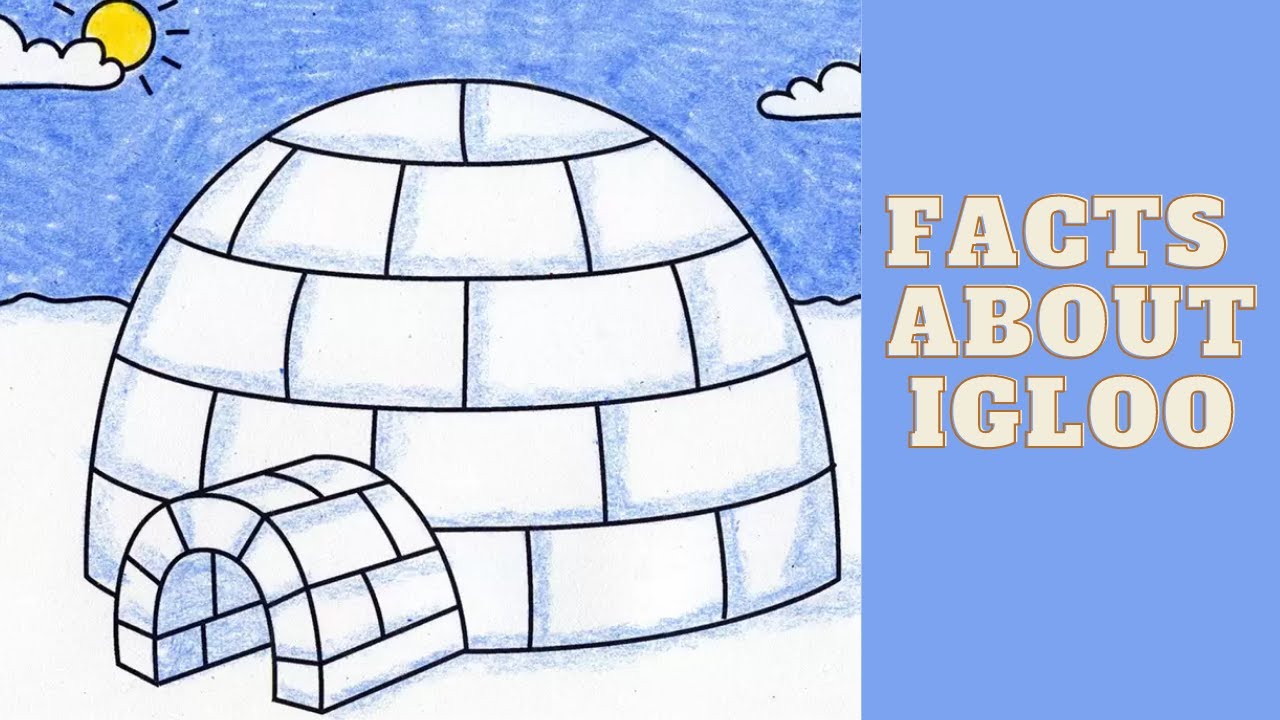 interesting facts about igloos YouTube