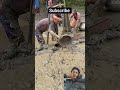 1k subscribe kardo please #fishlovers #fish