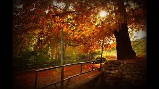 Munzur - Tuncay Akdoğan