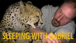 Sleeping Outside With Gabriel The Cheetah | BIG CAT Gets Stomach Ache From Eating Foam Mattress Sleeping Outside With Gabriel The Cheetah | BIG CAT Gets Stomach Ache From Eating Foam Mattress