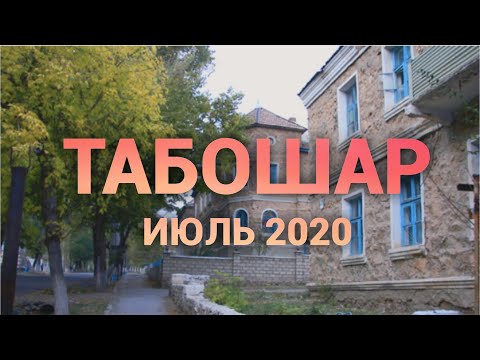 Табошар 2020/Истиклол Таджикистан 2020