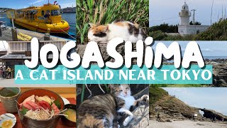 LIVING IN JAPAN 034 | Jogashima Island | Cat Island Near Tokyo | Misaki Port | Tokyo Day Trip