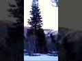 Massive Bigfoot Emerges From Snowy Woods on Camera and Causes Hiker to Run Away For Their Life!