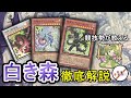 【エモさ全開!!】新規ディアベル採用型アザミナ白き森デモンスミス