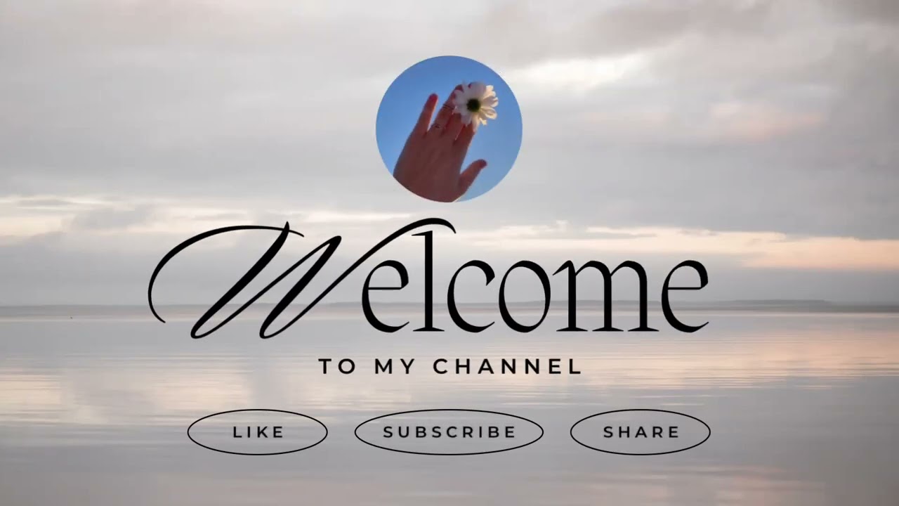 Soft Archive — A New Beginning 🤍     