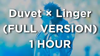 Duvet  Linger  Version  1 Hour