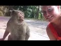 Beginning of video