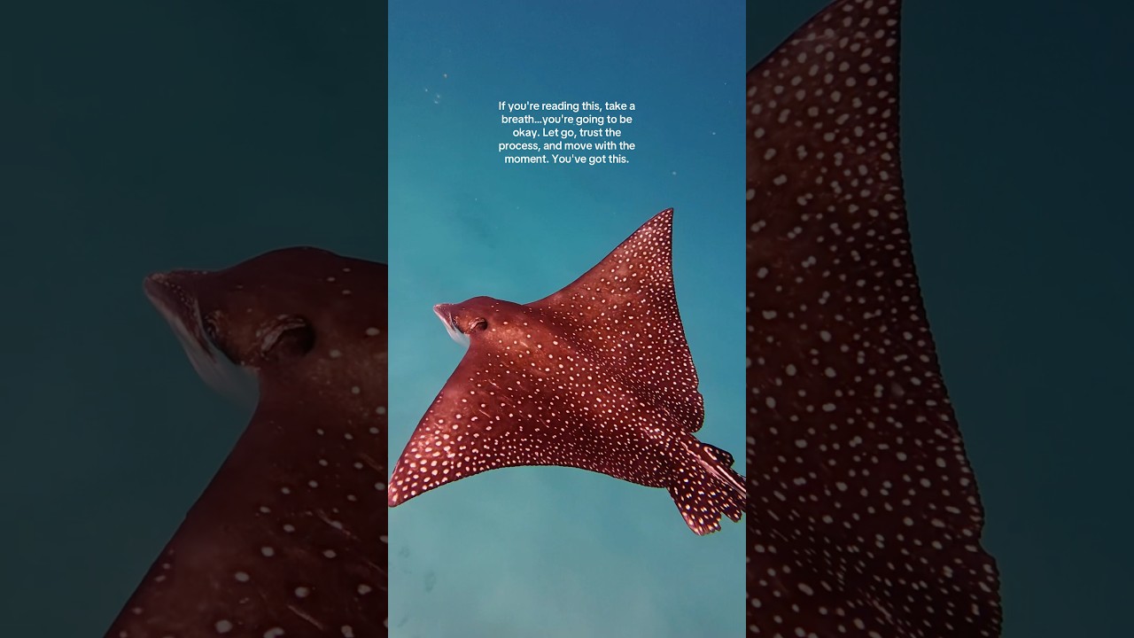 Sometimes slowing down is okay 🫶🏽 