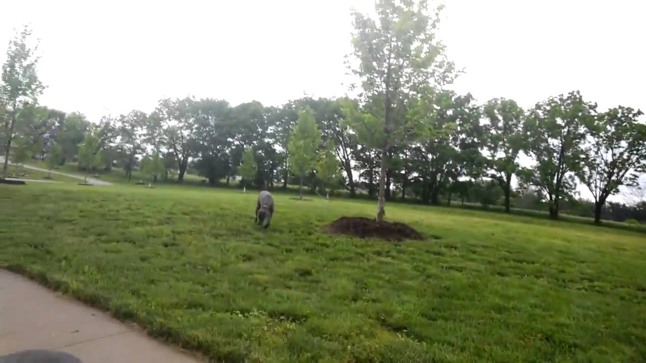 sarah hillary daughter of edmund hillary 06/01/2013 at 05:41PM #throughglass