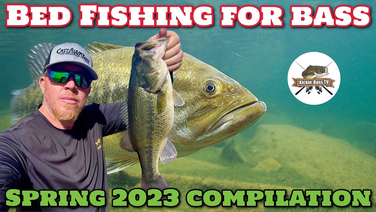 Bed Fishing For Bass 2023 Compilation YouTube