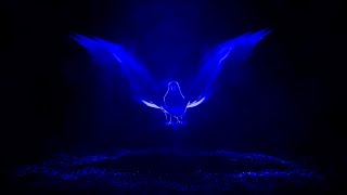 Magic Bird || How To Make Magic Bird intro & Text animation in Kinemaster (Kamal tv) screenshot 4