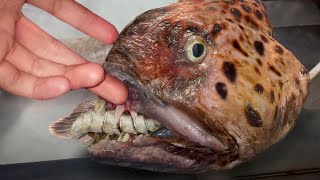 The Scariest Sea Monster Ever Caught