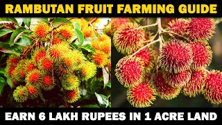 RAMBUTAN FRUIT FARMING | How to grow Rambutan plant from seed at Home