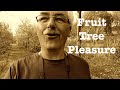 14 Pleasures of having Fruit Trees, a permaculture orchard or an orchard