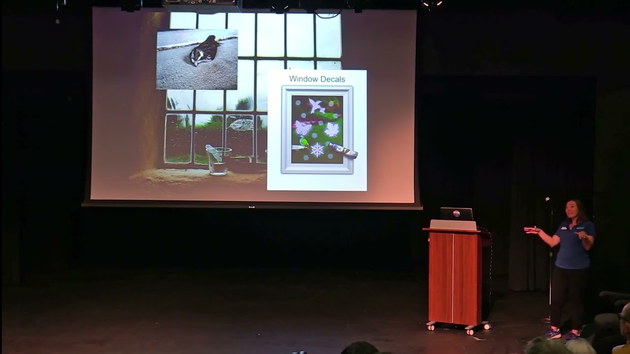 Parker Arts Lectures 2023/2024