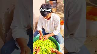🌾🚜 Modern Farming Techniques | Smart Agriculture Tips | Sarokaar Agri Institute 🌱👨🌾