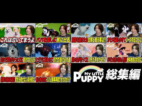 【総集編】天国にいる飼い主を迎えに行く!!「My Little Puppy」part1〜10
