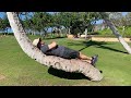 Q&A: 25 Viewer Questions Answered!