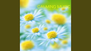 Meditation music to calm your mind